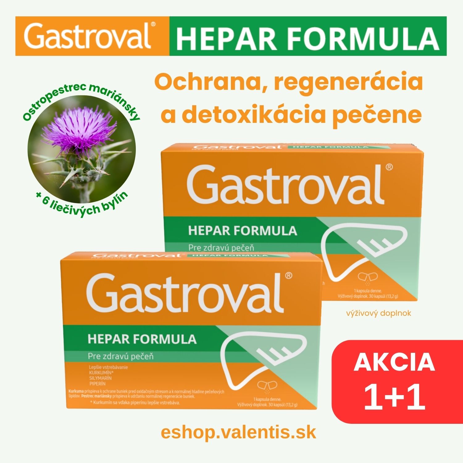 Gastroval Hepar FB jul 2024